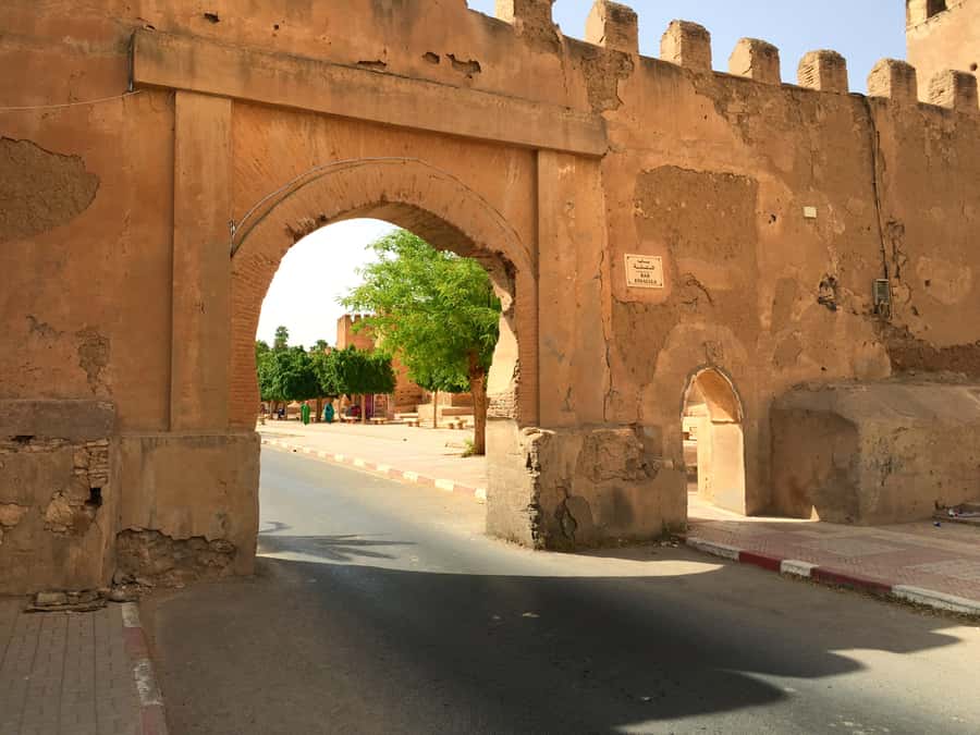 From Taghazout/Agadir: Taroudant and Tiout Day Trip & Tajine - The argan-tree goats photo stop
