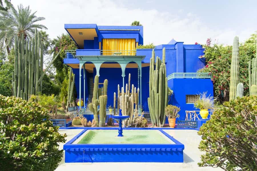 From Taghazout or Agadir: Marrakech Guided Day Trip - Lunch, rooftop views, and extra sights