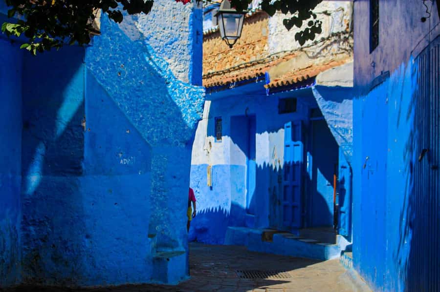 From Tangier: Chefchaouen Day Trip with Local Guide - Should you book it?