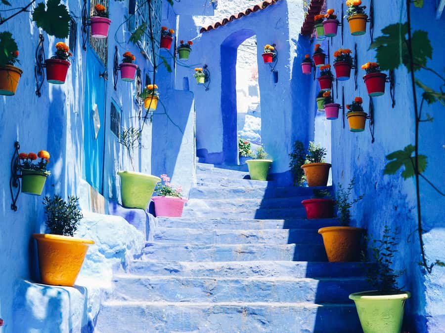 From Tangier: Chefchaouen Guided Full-Day Trip - Walking Chefchaouen’s blue medina