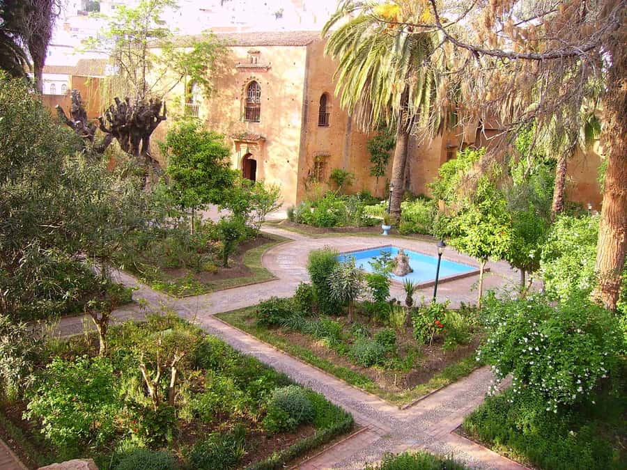 From Tangier: Chefchaouen Guided Full-Day Trip - Should you book the Tangier to Chefchaouen trip?