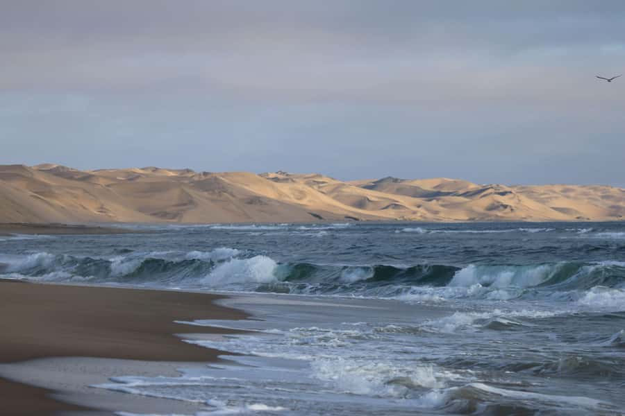 From Walvis Bay: Sandwich Harbour World Heritage Site - The 4x4 route to Sandwich Harbour