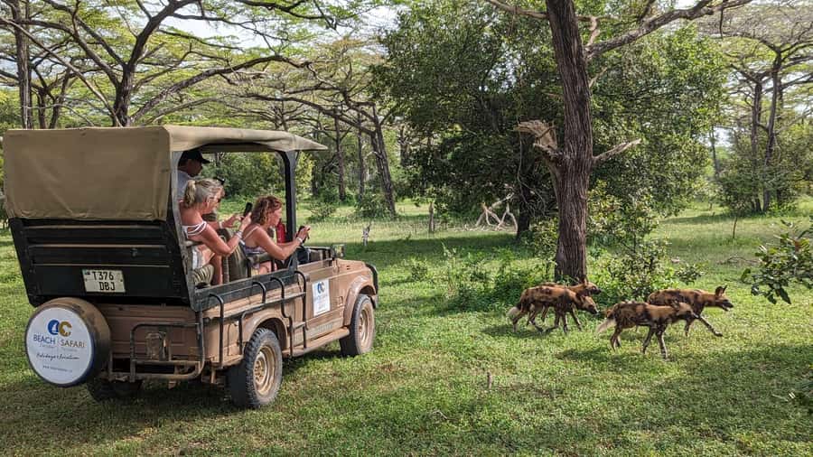 From Zanzibar: Day Selous Game Reserve Safari with Flights - From Zanzibar beach to the African bush