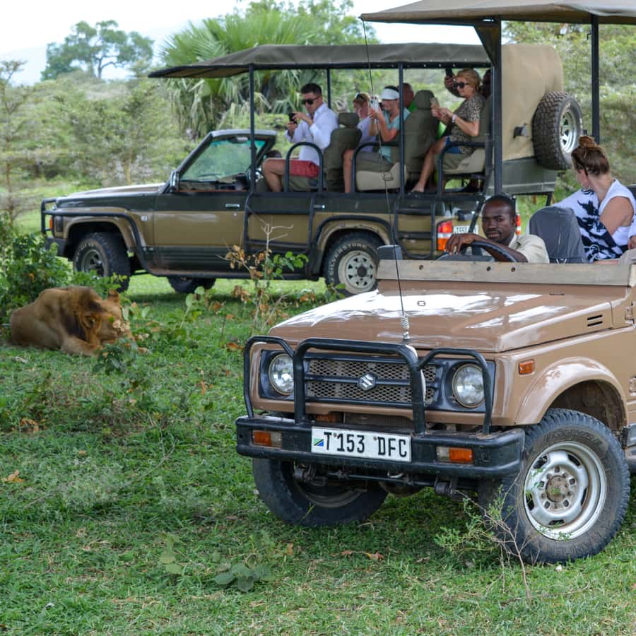 From Zanzibar: Day Selous Game Reserve Safari with Flights - The bush lunch at around 1:00