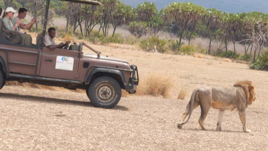 From Zanzibar: Mikumi Safari Day Trip with Flights and Meal - Bush lunch at about 1:00 in the afternoon