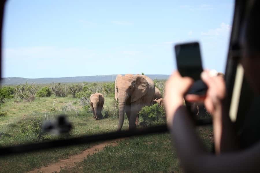 Full-Day All Inclusive Safari with Traditional Braai Lunch - Around 10:30, a useful pause for tea and coffee