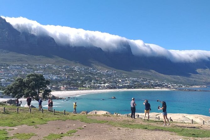 FULL Day Cape of Good Hope and Boulders Penguin Colony - Hout Bay gives you a choice