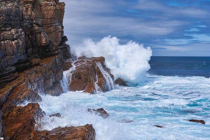 Full Day Cape Peninsula Tour in Private Car - Why a private Cape Peninsula day makes sense