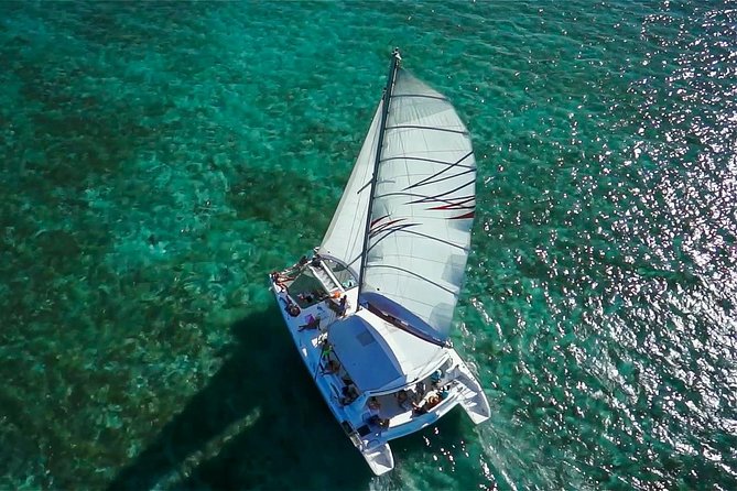 Full-Day Catamaran Cruise to Île aux Cerfs with BBQ Lunch - Watching for Dolphins in Open Water