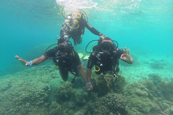 Full Day Dolphin Watching with Snorkeling in Wasini - Mkwiro Village and a closer look at Wasini life