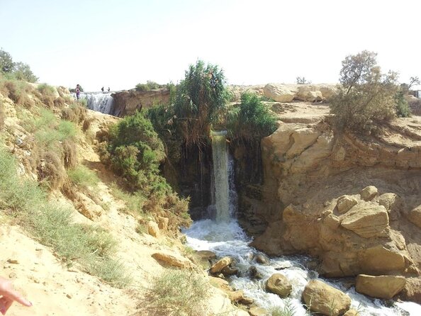 Full-Day Fayoum Oasis and Waterfalls of Wadi El-Rayan Tour from Cairo - Leaving Cairo for the Fayoum countryside