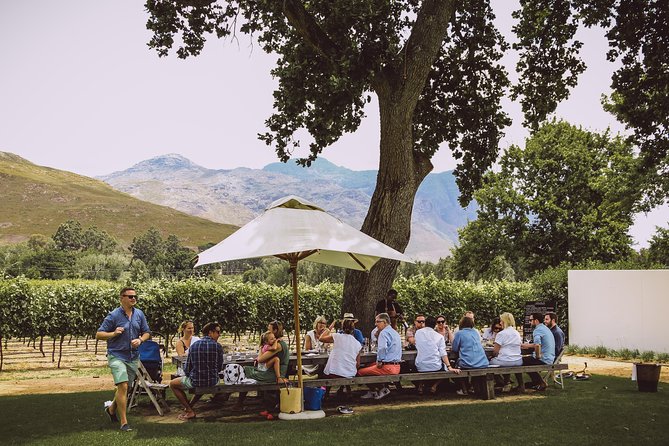 Full-Day Franschhoek Hop On Hop Off Wine Tram Tour from Cape Town - How to plan four or five stops