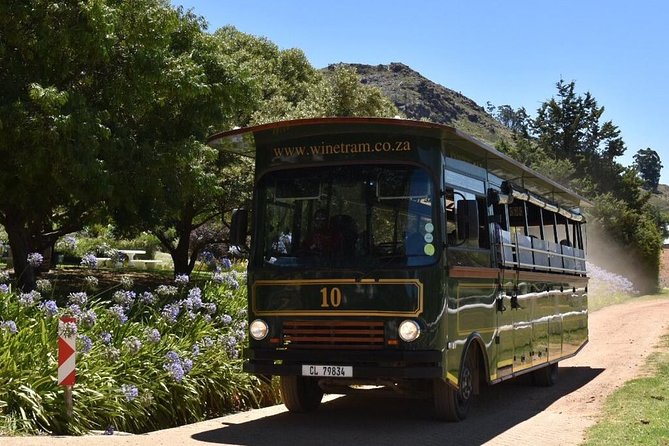 Full-Day Franschhoek Hop On Hop Off Wine Tram Tour from Cape Town - What the day does well, and where it can wobble