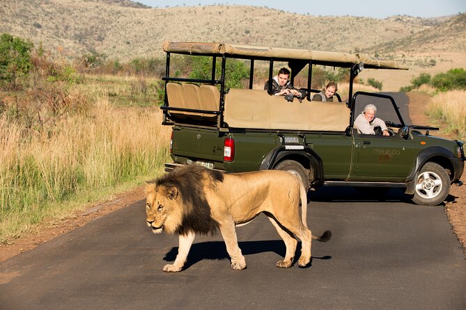 Full Day Pilanesberg Experience in Open Vehicle - Lunch at a Pilanesberg rest camp