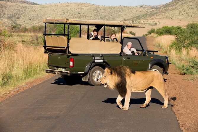 Full Day Pilanesberg Experience in Open Vehicle - Price and what the $137.74 covers