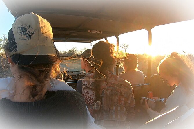 Full Day Private Kruger Park Safari - What the open-top 4x4 changes