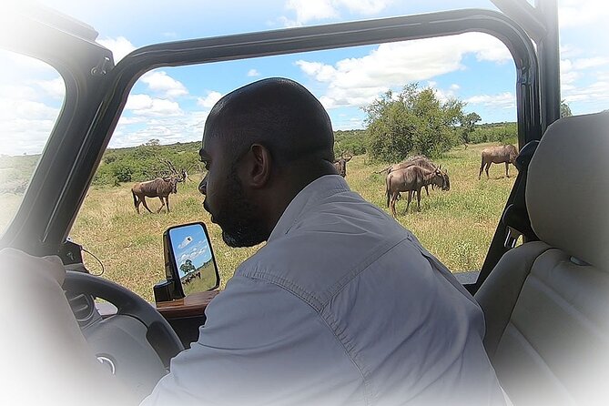Full Day Private Kruger Park Safari - Guide quality matters here