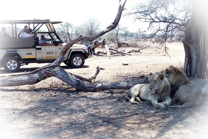 Full Day Private Kruger Park Safari - Is $143.78 a fair price?