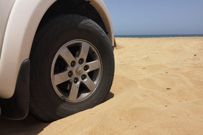 Full-Day Safari Small Desert With Lunch - How the price compares with the experience