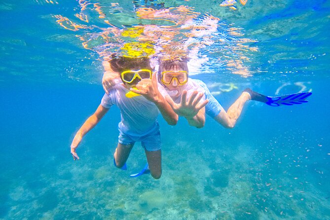 Full-Day Special Wasini Island Tour with Snorkeling and Lunch - Lunch on Wasini Island and the Coral Garden
