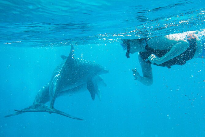 Full-Day Special Wasini Island Tour with Snorkeling and Lunch - Who will enjoy this day most