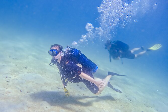 Full-Day Special Wasini Island Tour with Snorkeling and Lunch - Practical advice for a smoother outing