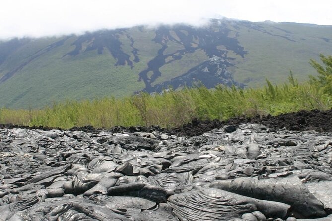 Full Day Tour of Reunion Island with Breakfast - Niagara Waterfall at Sainte-Suzanne