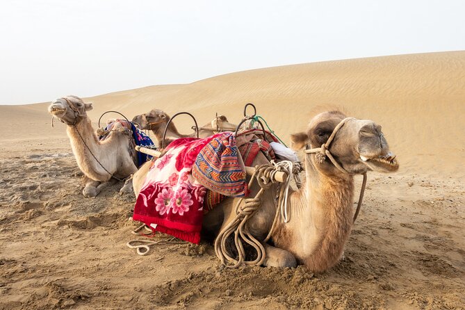 Full Day Tour to Desert Trip in Agadir with Lunch - Arbaa Rasmouka and the small desert