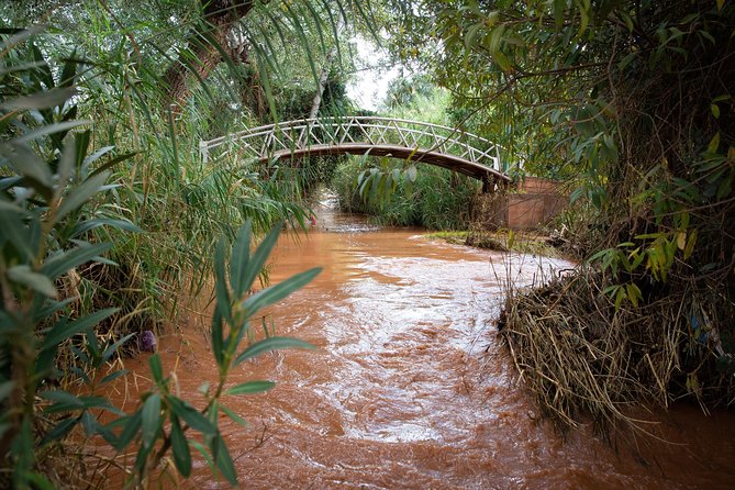 Full Day Trip To Ouzoud Waterfalls From Marrakech & Boat Tour - What the guides and driver add to the day