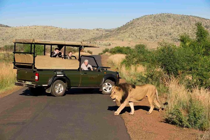 Full Day Ultimate Pilanesberg National Park Safari from Johannesburg or Pretoria - Who will enjoy this day most