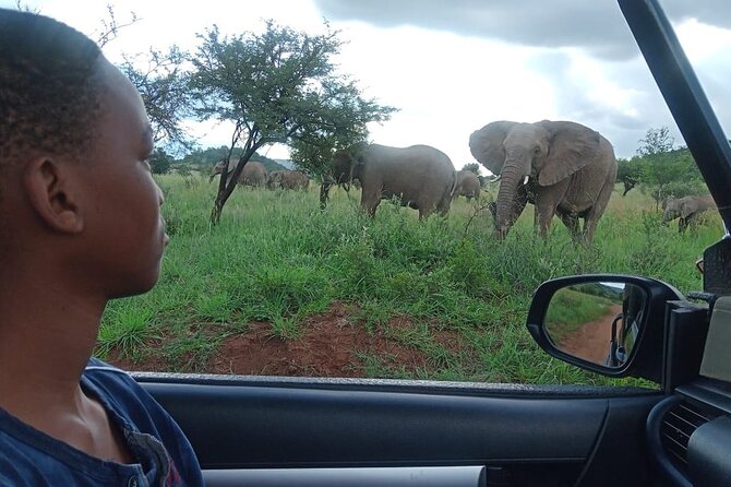 Full Day Ultimate Pilanesberg National Park Safari from Johannesburg or Pretoria - The first open-vehicle drive