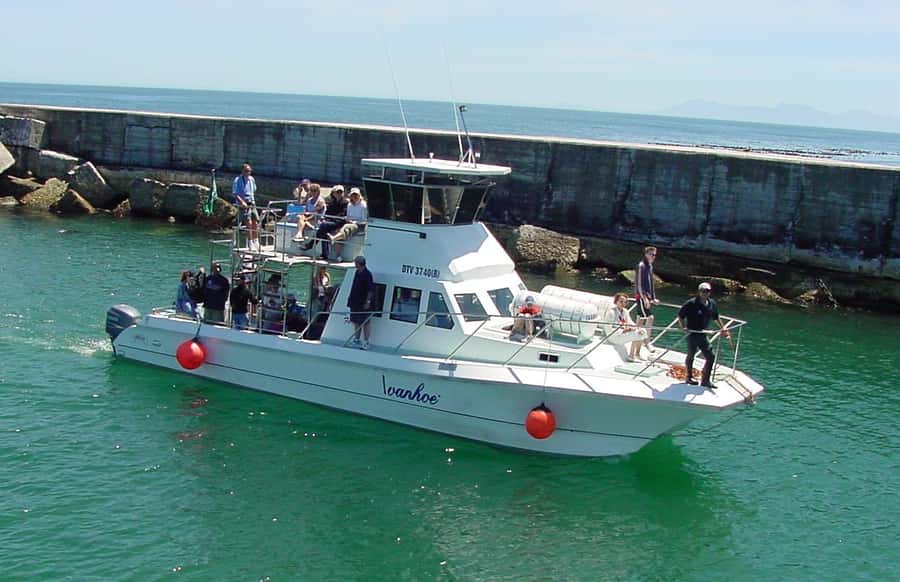 Gansbaai: Whale Watching Trip by Boat - Leaving Gansbaai Harbour for De Kelders