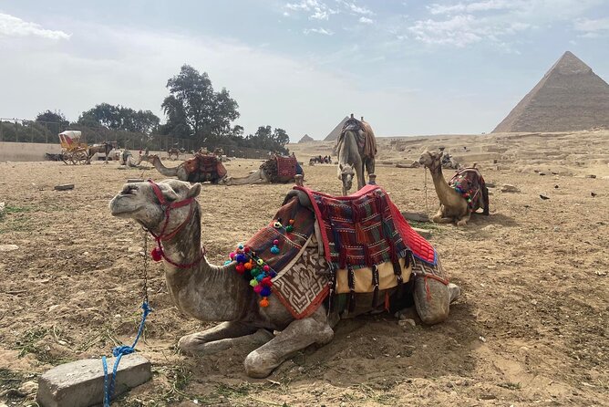 Giza Pyramids,Sphinx,Camel Ride,ATV Bike,Shopping, Dinner cruise - Camel riding near the pyramids