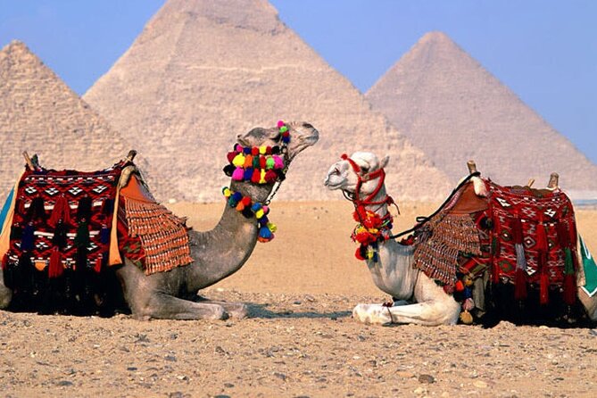Giza Pyramids, Sphinx, Memphis, Saqqara, with private tour guide - Saqqara and the Step Pyramid of Djoser
