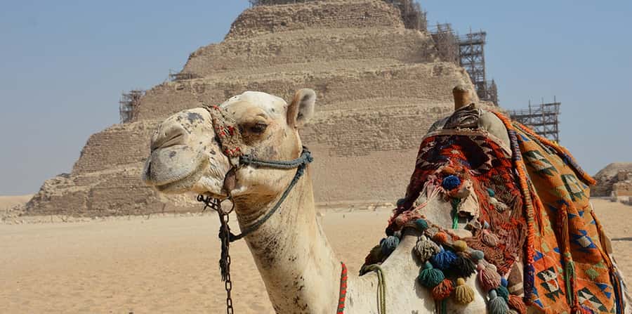 Giza: Sakkara, Memphis & Dahshur (Pyramid & Felucca Options) - Shared, private, and language choices