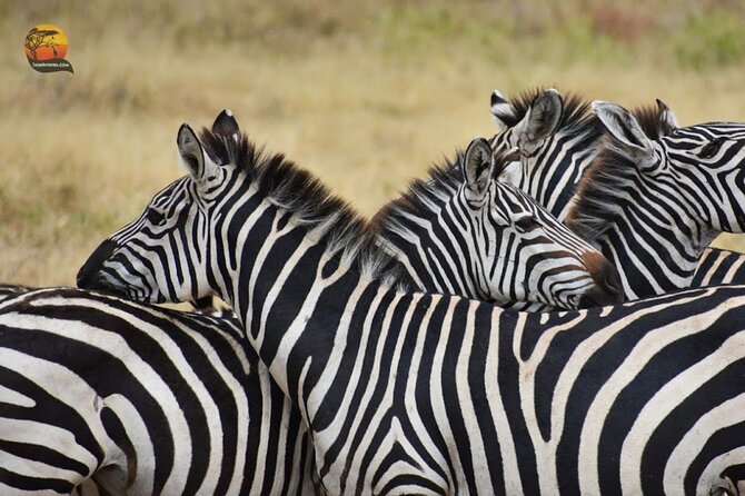 Group Safari 7 Days in Tanzania's Main Parks - Day 6: Tarangire and the search for elephants