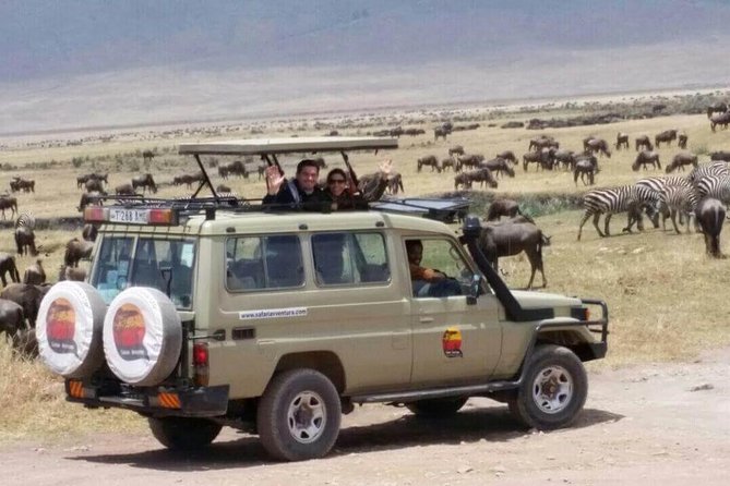 Group Safari 7 Days in Tanzania's Main Parks - What $3,000 includes, and what it leaves out
