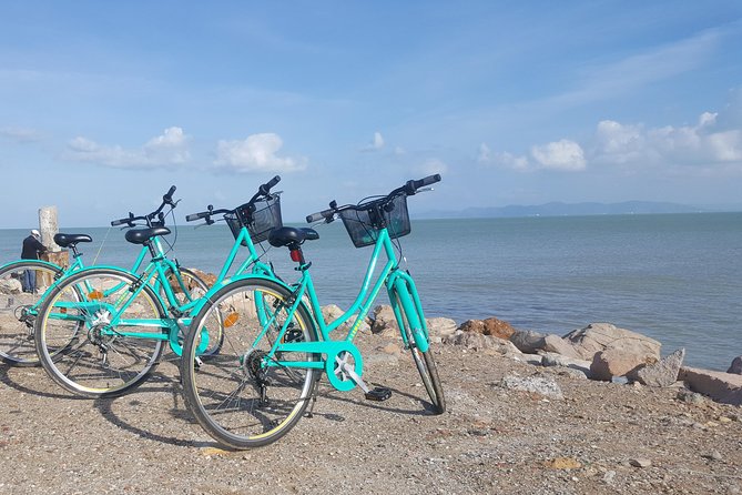 Guided Bike Tour of Carthage Archeological Site in Tunisia - One Hour at the Baths of Antoninus