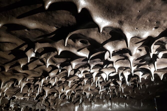 Guided tour of the 2004 lava tunnels - Why Réunion’s 2004 lava flow makes a memorable outing