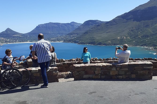 Half day African Penguin Tour - Camps Bay and the Twelve Apostles