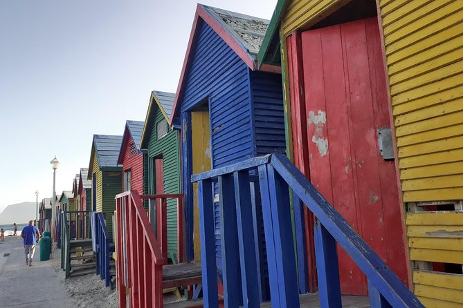 Half day African Penguin Tour - Hout Bay and the harbor choice