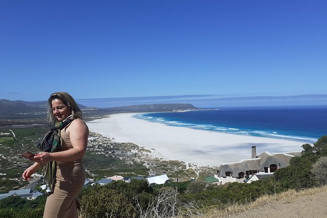 Half day African Penguin Tour - Simons Town and the return along False Bay