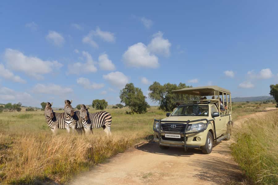 Hartbeespoort: Lion and Safari Park Tour - Why the guide can make or break the drive