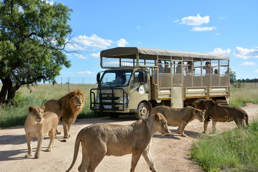 Hartbeespoort: Predator Safari with a Guide - Why the guide makes a difference