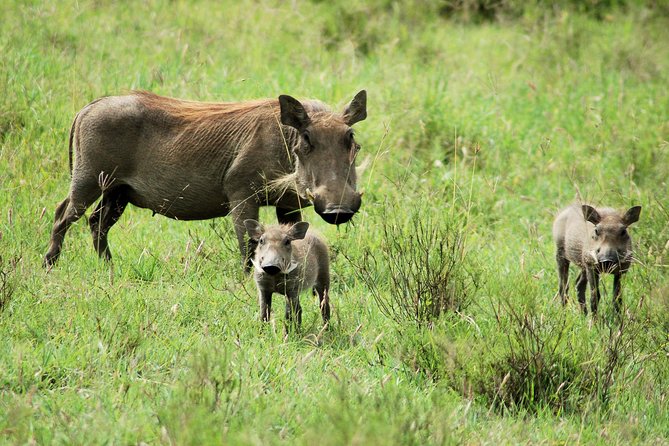 Hell's Gate National Park Private Bike Tour from Nairobi - Key points to know before booking