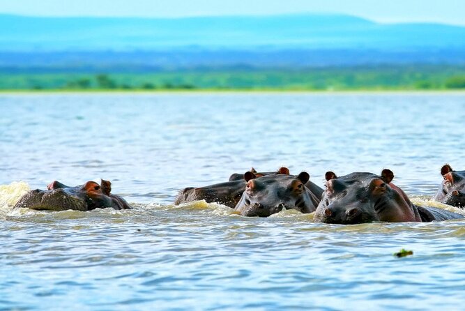 Hell's Gate National Park Private Bike Tour from Nairobi - Lunch at Naivasha Fisherman’s Camp