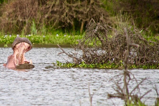Hell's Gate National Park Private Bike Tour from Nairobi - The optional Lake Naivasha boat ride at 2pm