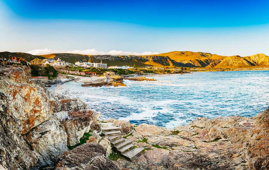 Hermanus: Whale and Dolphin Watching Boat Trip - Practical details for a smoother outing
