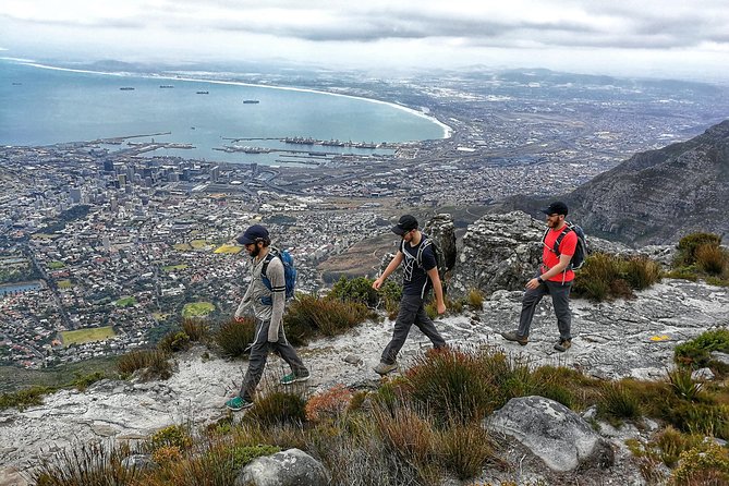 Hike Table Mountain with a Guide - Choose Route - The summit and the cable-car return