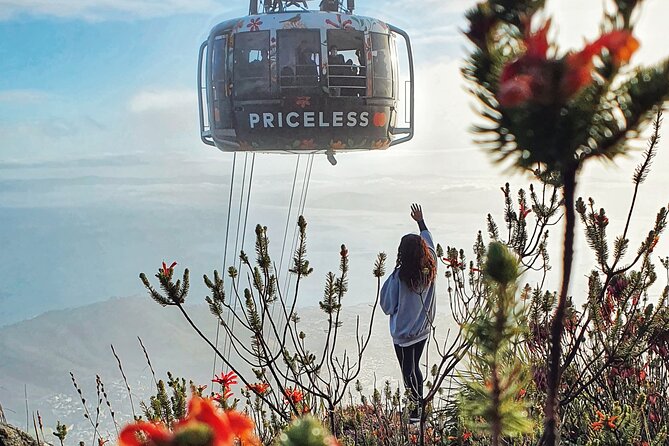 Hike Table Mountain with a Guide - Choose Route - Who should choose each route?